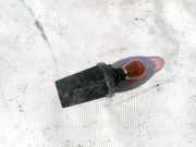 Glühbirnenfassung Blinker Renault Scenic, II 2003.06 - 2006.06 Gebraucht,