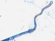 Stabilisator Vorne Toyota Yaris, I (XP10) 1999.04 - 2003.03 Gebraucht,