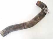 Intercooler Schlauch Lexus IS, II 2005.10 - 2013.03 Gebraucht,