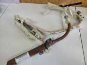 Sicherheitsmodul Seitenverkleidung Peugeot 307, 2005.06 - 2008.06 5XXA418770L,5XXA 4 1877 0L PSK.965.316080 H 1003201 PSK965316080H