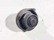 Tankverschluss Seat Ibiza, IV 2015.06 - 2017.06 6P facelift Gebraucht,