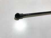 Gasdruckfeder Kofferraum Toyota Corolla, 2004.02 - 2007.02 facelift 6895002041,68950-02041