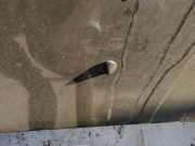 Waschwasserdüse Scheibenreinigung Opel Vectra, B 1995.09 - 2000.09 Gebraucht,