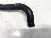 Kühlerschlauch Volkswagen Touareg, 2002.10 - 2007.09 Gebraucht, BAC