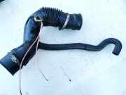 Schlauch für Luftversorgung Renault Megane, I 1995.11 - 1999.02 7700866642,