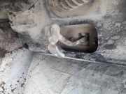 Türfangband Türbremse Türstopper - Hinten Rechts Renault Clio, 2001.05 - 2004.11 facelift Gebraucht ,