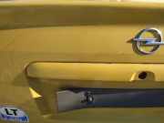 Kennzeichenleuchte Opel Astra, G 1998.09 - 2004.12 Gebraucht,