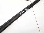 Zierleiste Leiste - Vorne Linke Renault Scenic, II 2006.06 - 2009.02 facelift Gebraucht,