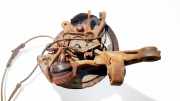 Achsschenkel Radnabe - Hinten Rechts Toyota Avensis, II 2003.04 - 2006.03 Gebraucht,