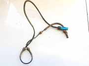 Sensor für ABS Citroen C2, I 2003.09 - 2006.06 Gebraucht,