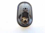 T?rinnengriff - Vorne Rechts Renault Megane, II 2002.11 - 2006.06 8200028486,8200028486 5005500006