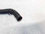 K?hlerschlauch Chevrolet Captiva, 2006.01 - 2011.06 96629094,