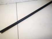 Zierleiste Leiste - Vorne Rechts Renault Laguna, II 2001.03 - 2006.05 Gebraucht,