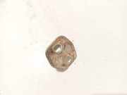 Türfanghaken Fanghaken Schliessbügel - Vorne Renault Scenic, II 2003.06 - 2006.06 Gebraucht,