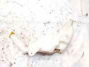 Scheibenwaschbehälter Vorne Wischwasserbehälter Opel Astra, G 1998.09 - 2004.12 90589503,