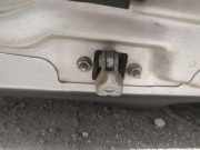 Türfangband Türbremse Türstopper - Vorne Linke Opel Signum, 2003.05 - 2008.06 Gebraucht,