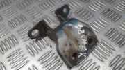Türscharnier Hinten Hyundai Santa Fe, 2000.11 - 2006.03 Gebraucht,