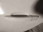 T?rgriff T?raussengriff - Hinten Linke Opel Insignia A, 2013.01 - 2017.06 facelift Gebraucht,