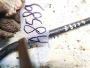 Stabilisator Stabi Hinten Hinterachse BMW 5-Series, E39 1995.11 - 2003.06 Gebraucht,