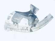 Radhausschale - Vorne Linke Citroen C5, I 2004.08 - 2008.02 facelift 9627973380,