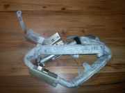 Sicherheitsmodul Seitenverkleidung Jaguar S-Type, 2002.04 - 2007.10 2R8314K159,