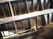 Ansaugschlauch Luftfilter Saugrohr BMW 7-Series, E65 E66 E67 E68 2001.11 - 2008.06 84228386133,