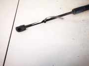 Gasdruckfeder Kofferraum Skoda Fabia, I 6Y 1999.08 - 2005.10 0167210600n,