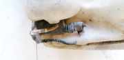 Waschwasserpumpe Scheibenreinigung Citroen Xsara, I 2000.09 - 2005.03 facelift Gebraucht,