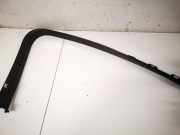 Schutzleiste T?r - Vorne Linke Ford C-MAX, 2011.01 - 2019 am51r201a19a,am51-r201a19-a