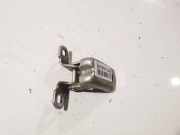 Türscharnier Hinten Renault Scenic, II 2003.06 - 2006.06 Gebraucht,