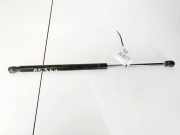 Gasdruckfeder Kofferraum Dodge Caliber, 2006.08 - 2009.01 Gebraucht,