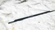 Zierleiste Leiste - Hinten Linke Renault Scenic, I 1999.09 - 2003.06 facelift Gebraucht ,
