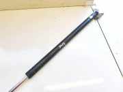 Gasdruckfeder Kofferraum Mitsubishi Grandis, I 2004.01 - 2009.12 Gebraucht,