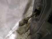 Türfangband Türbremse Türstopper - Vorne Linke Opel Vectra, C 2002.04 - 2005.10 Gebraucht ,