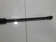 Gasfeder für Motorhaube Ford Galaxy, Mk I 2000.04 - 2006.04 facelift 4469nx0350n,