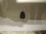 Waschwasserdüse Scheibenreinigung Volvo XC70, 2000.03 - 2005.02 Gebraucht,