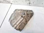 Hitzeschutzblech Abgaskrümmer Peugeot RCZ 2009 - 2015 V75956058002,V759560580-02