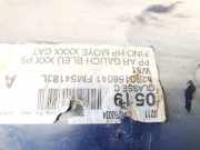 Türverkleidung - Hinten Linke Renault Espace, IV 2002.11 - 2014.12 8200156041,