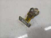 T?rscharnier Vorne Iveco Daily, 2006.01 - 2011.06 Gebraucht,