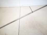 Zierleiste Leiste - Vorne Linke Volkswagen Phaeton, 2002.04 - 2006 Gebraucht, Ajs