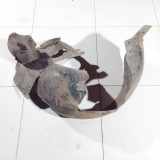 Radhausschale - Vorne Linke Volkswagen Golf Plus, 2005.01 - 2008.05 1k0805911b, BLF