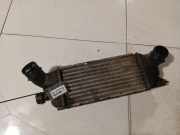 Ladeluftkühler Peugeot 407, 2004.05 - 2010.12 IA1095,IA1095 874823NK 9645682880