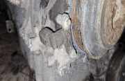 Impulsgeber Kurbelwelle Ford Mondeo, 2007.03 - 2013.06 Gebraucht,