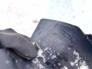 Schutzleiste Tür - Hinten Linke Jaguar X-Type, 2001.06 - 2007.11 1x435425561agw,