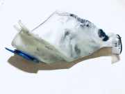 Scheibenwaschbeh?lter Vorne Wischwasserbeh?lter Volkswagen Polo, III 1999.10 - 2001.09 facelift 6n0955453h,6n0955453hj 6n0955453j Amf