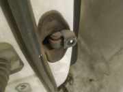 T?rfangband T?rbremse T?rstopper - Hinten Rechts Opel Insignia A, 2008.01 - 2013.01 Gebraucht,