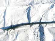 Dachreling Linke Opel Zafira, A 1999.04 - 2003.11 Gebraucht,