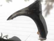 Kotflügel - Vorne Linke Citroen C2, I 2003.09 - 2006.06 juodas,