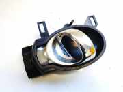 Türinnengriff - Hinten Rechts Nissan Juke, I F15 2010.06 - 2019.06 Gebraucht,