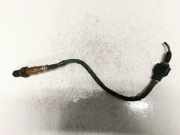 Lambdasonde - 5 Drähte WEISS GELB SCHWARZ GRAU ROT Nissan Micra, K14 2017 - 2020 H8201140217, 226934803R 0258027031